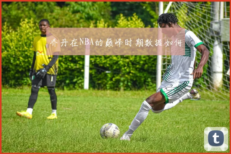 乔丹在NBA的巅峰时期数据如何