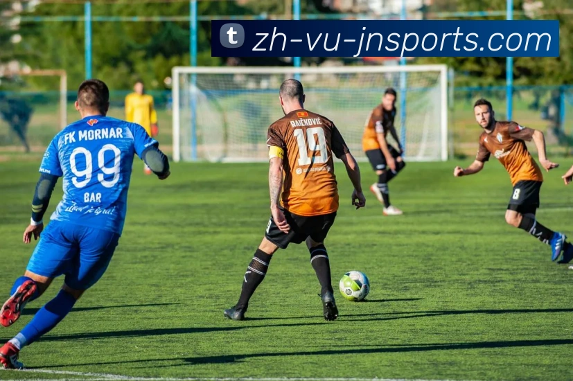 江南体育平台生态图